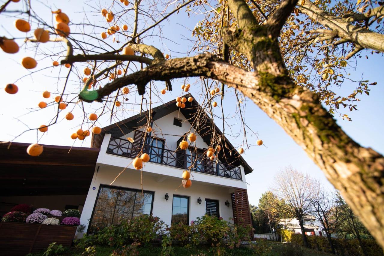 Villa Nora Butik Otel ve Bungalov Bursa Exteriör bild